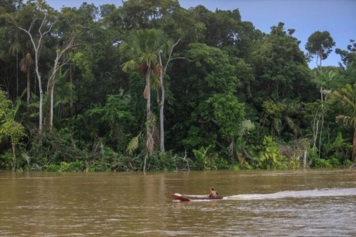 Estudo aponta que financiamento climático _ignora_ transição justa