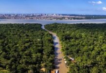 Grupo BID lança iniciativa para democratizar financiamento sustentável