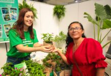 Mega ação do Projeto Galho Forte reúne mais de 4 mil pessoas e oferta serviços gratuitos em Manaus