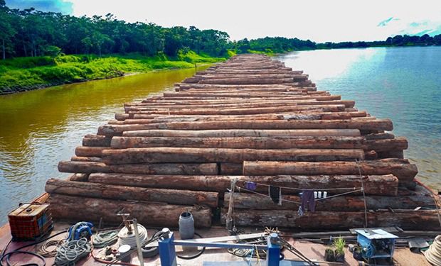 WhatsApp Image 2025-11-24 at 12.10.50