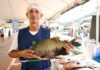 Feirão do Pescado da ADS: edição especial deve comercializar cerca de 50 toneladas de peixe em dois dias