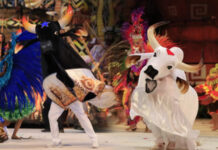 Bois de Parintins ficam de fora da programação oficial da COP30 e provocam onda de críticas