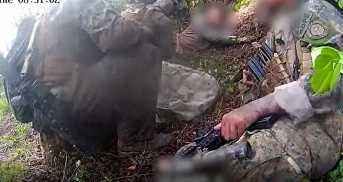 image - 2025-11-03T143133.109