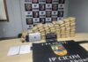 Polícia Militar do Amazonas apreende 70 quilos de maconha em ação na Ponta Negra