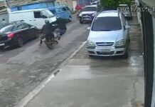 Motorista atropela bandido armado, dá a ré para atropelar de novo e foge