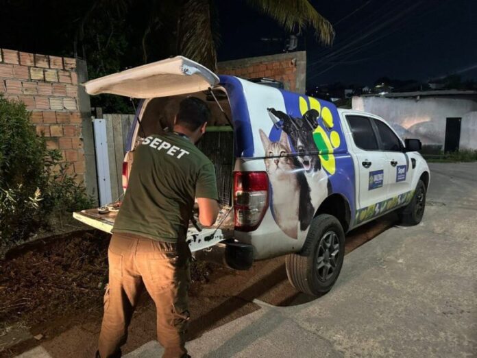 image - 2025-11-16T144105.405