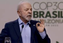 COP30: Fundo de Florestas já soma US$ 5,5 bilhões e Brasil espera mais aportes