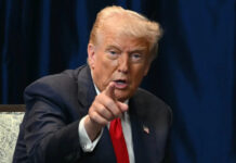 Às vésperas da COP30, Trump critica construção de estrada “no meio da Amazônia” e provoca novo atrito com o Brasil