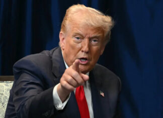 Às vésperas da COP30, Trump critica construção de estrada “no meio da Amazônia” e provoca novo atrito com o Brasil