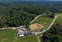 Prefeito David Almeida assina ordem de serviço para pavimentação do ramal Água Branca 2