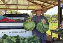 Prazo para credenciamento no edital do Preme 2026 se encerra nesta quarta-feira