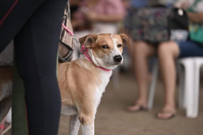 Divulgacao_Sepet-2-1-1024x682