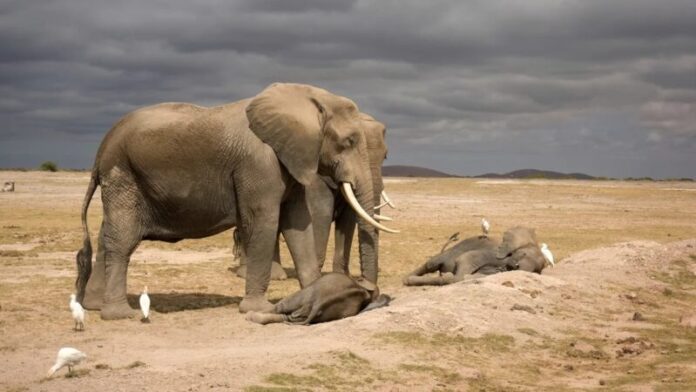 GettyImages-1441179835