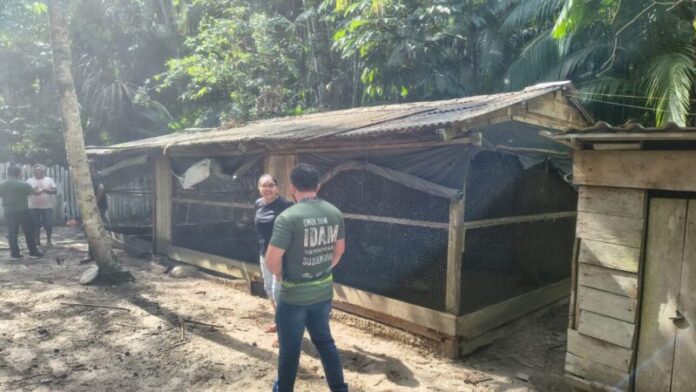 Idam_Curso-de-Avicultura-em-Santa-Isabel-do-Rio-Negro_Fotos-divulgacao-2-1024x576