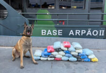 Base Arpão 2: Drogas avaliadas em R$ 800 mil foram apreendidas em camarote do comandante de embarcação