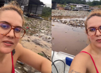 Márcia Novo e o Tarumã esquecido