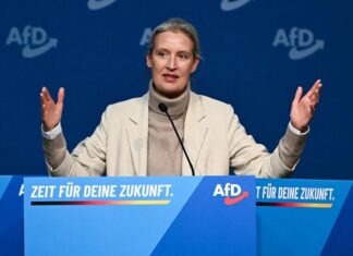 Delegação da AfD viaja aos EUA para encontros com republicanos e outros parceiros políticos