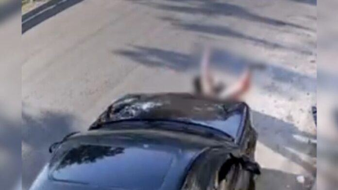 image - 2025-12-04T162804.436