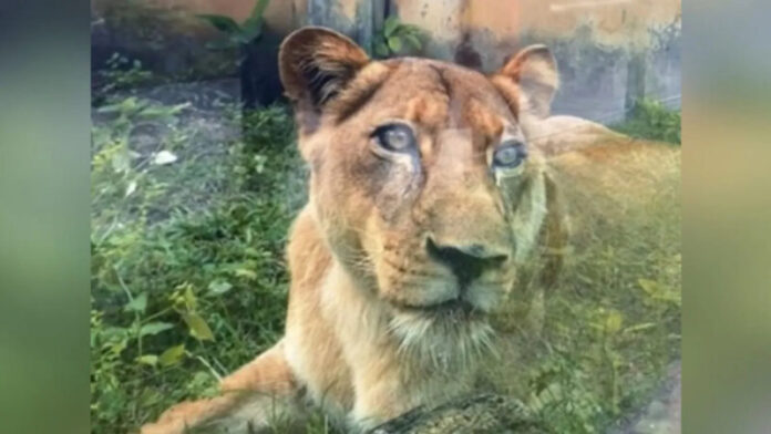 image - 2025-12-04T223404.738