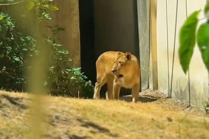 image - 2025-12-15T174431.990