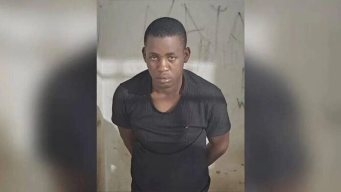 image - 2025-12-16T092430.053