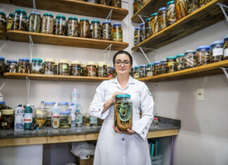 Professora da UFAM é reconhecida no prêmio Para Mulheres na Ciência por pesquisa sobre tratamento de acidentes com jararacas