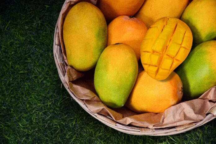 49289663-gettyimages-2150629128