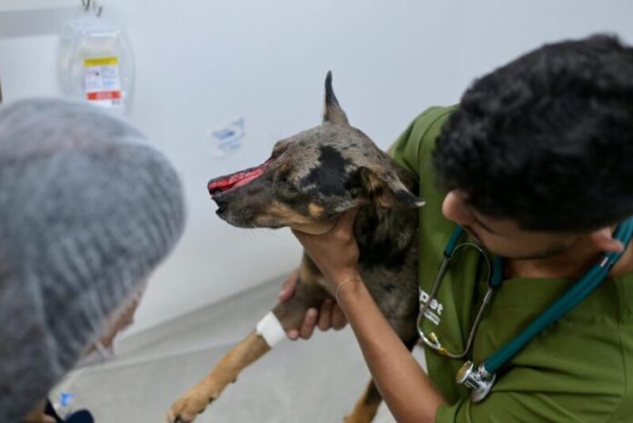 Divulgacao_Sepet-1-1024x683