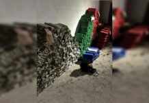 Sete são presos após distribuição de 2 toneladas de maconha em GO