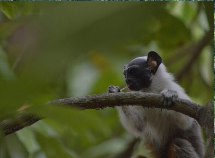 WhatsApp Image 2026-01-21 at 09.04.28