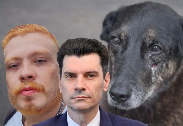 WhatsApp Image 2026-01-30 at 15.55.53