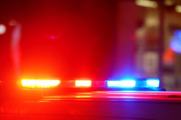 image - 2026-01-03T115428.810