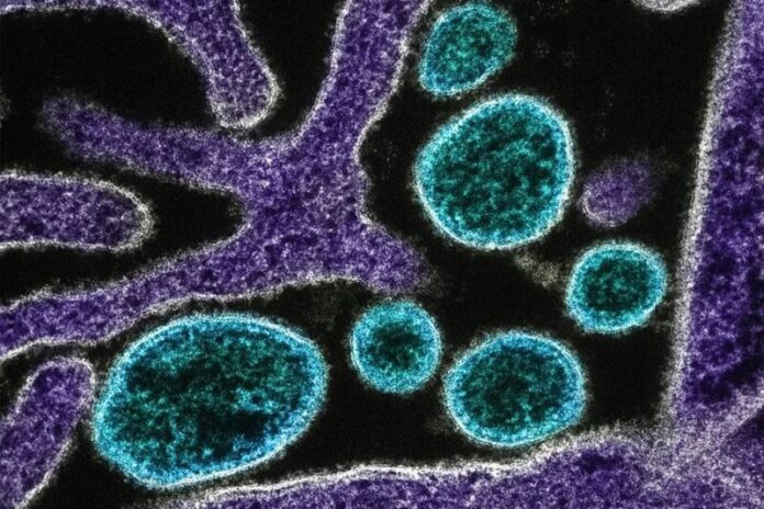 image - 2026-01-30T104010.905