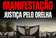 Manifestação por justiça ao Cão Orelha será realizada na Ponta Negra, em Manaus, neste domingo