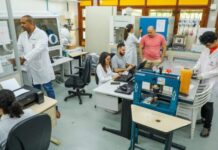 Fapeam abre inscrições para os programas Painter Ecoturismo, Profix-RH e Pameq