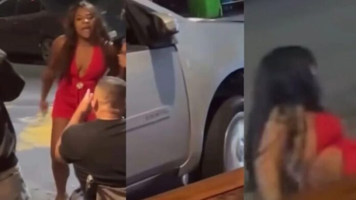 Vídeo_ mulher discute com cadeirante, atropela pessoas e acaba presa em SP