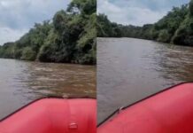 Mãe é presa após entrar no rio com recém-nascida. Bebê desapareceu