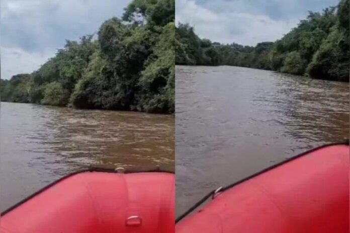 image - 2026-02-19T155014.478