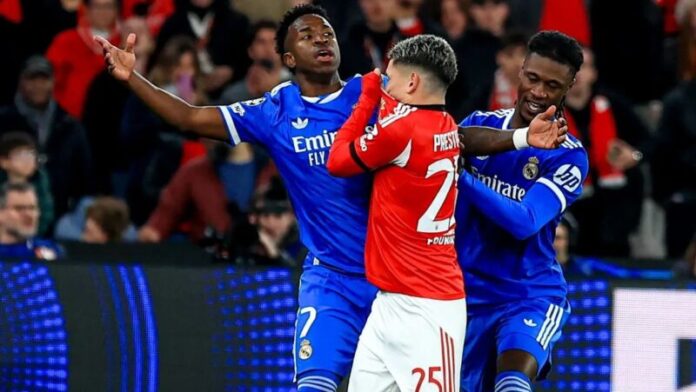 image - 2026-02-20T171411.340