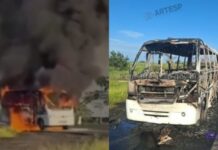 Ônibus com atletas de karatê pega fogo em Rodovia de SP