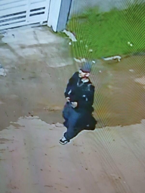 image - 2026-02-28T232425.228