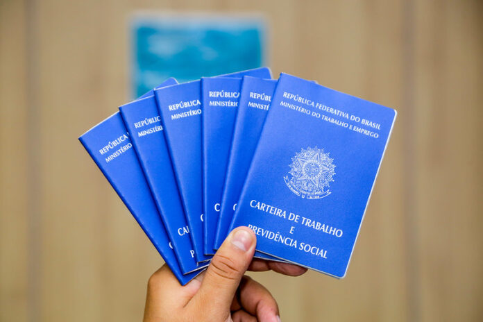 54522863602_8ca59d95ab_c