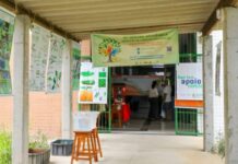 Parev: Últimos dias para submeter propostas ao programa da Fapeam de apoio à realização de eventos científicos e tecnológicos