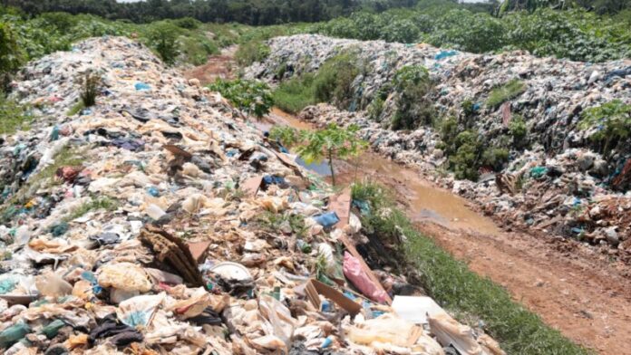 WhatsApp Image 2026-03-05 at 10.38.10