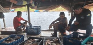 Secretaria de Meio Ambiente de Barcelos reforça combate à pesca ilegal do tucunaré