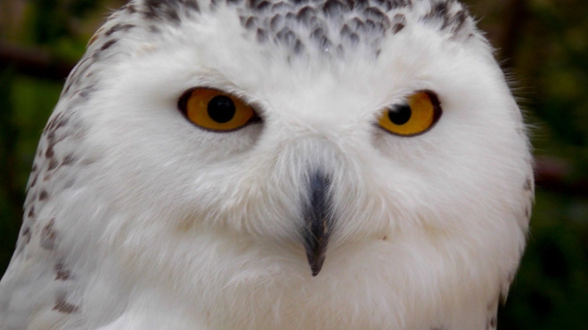 image - 2026-03-29T134527.177