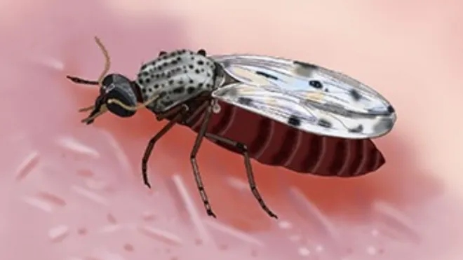 image - 2026-03-29T135619.975