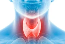Endocrinologista revela o que fazer para manter a tireoide saudável