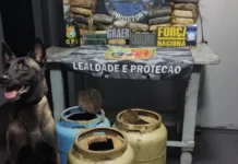 Polícia Militar apreende aproximadamente 29,5 quilos de maconha skunk em embarcação nas proximidades de Coari