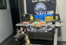 Dois homens são presos por tráfico de drogas em operação na região de Coari